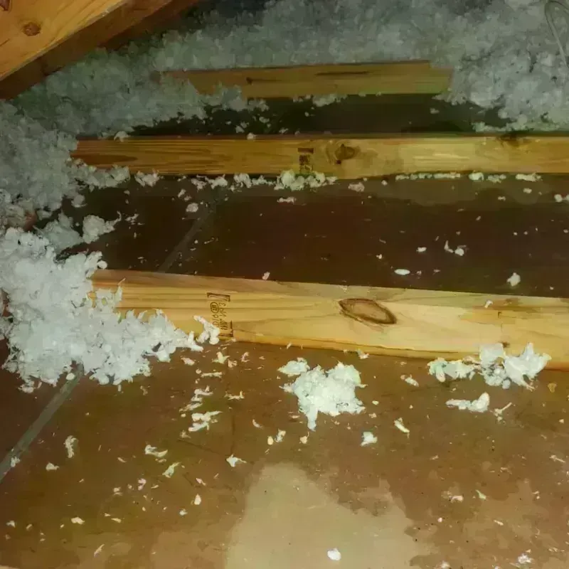 Attic Water Damage in Splendora, TX