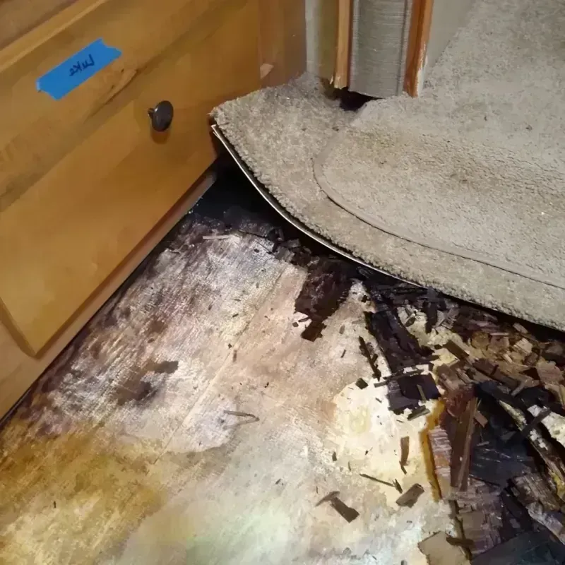 Wood Floor Water Damage in Splendora, TX